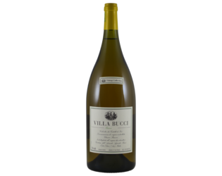 Villa Bucci Verdicchio Riserva magnum OV