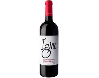 BIO Fasoli Gino Igino Cabernet Sauvignon OV