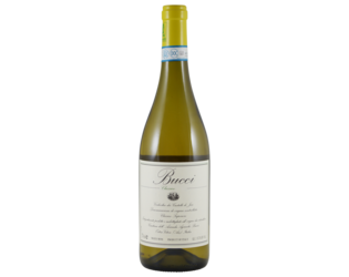 BIO Bucci Verdicchio Classico