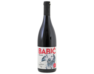BIO The Dalmatian Dog Babic