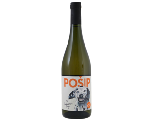 The Dalmatian Dog Posip