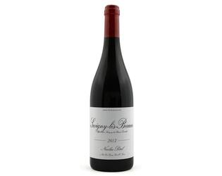 Nicolas Potel Savigny-les-Beaune OV