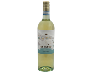 Anterra Grillo
