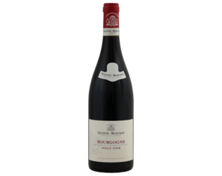 Nuiton Beaunoy Bourgogne Pinot Noir