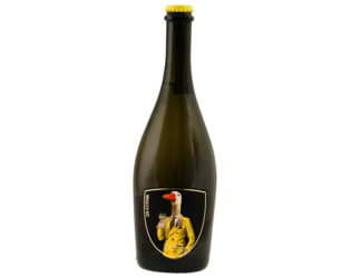 BIO Fasoli Gino Prosecco Frizzante