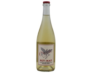 BIO Oniric Pet-Nat white