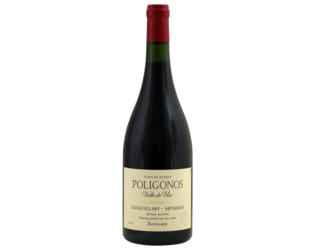 Zuccardi Poligonos Gualtallary Malbec