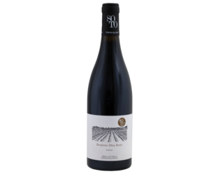 BIO Dominio Del Soto Crianza red